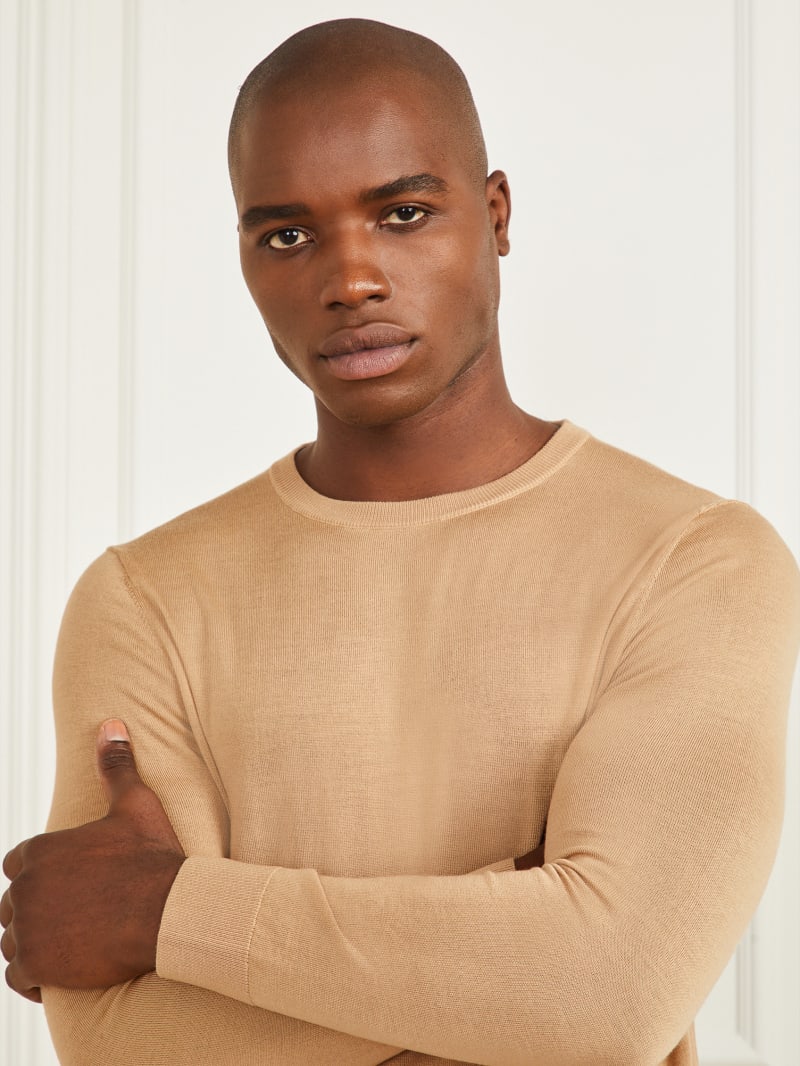 Guess Merino Wool Crewneck Sweater - Toasted Taupe Guess Merino Wool Crewneck Sweater - Toasted Taupe
